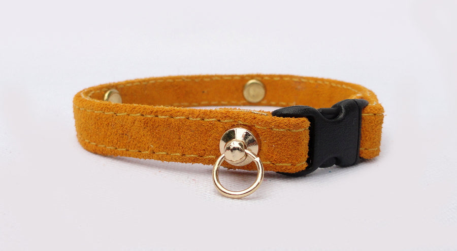 Personalized suede leather cat collar with engraved metal plate and saftey breakaway buckle