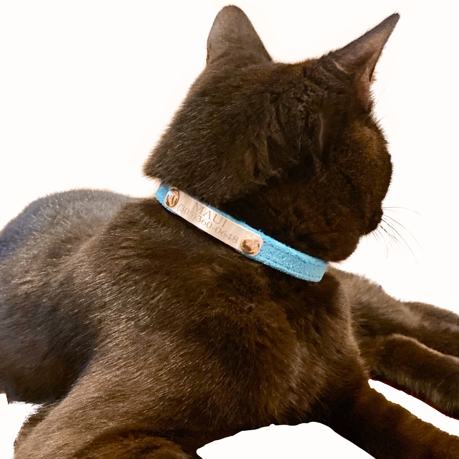 Soft Suede Cat Collar Personalized Buffed Suede with Engraved Plate (sample gold)