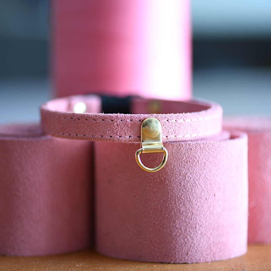 Soft  Suede Cat Collar with Charm Holder