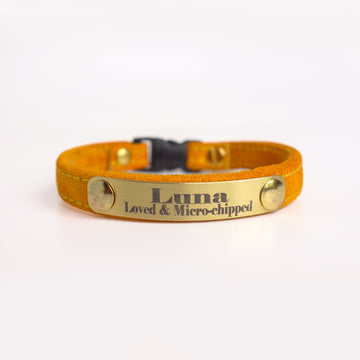 Personalized suede leather cat collar with engraved metal plate and saftey breakaway buckle
