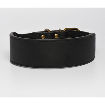 Black Leather Dog Collar in 2 Inch Wide