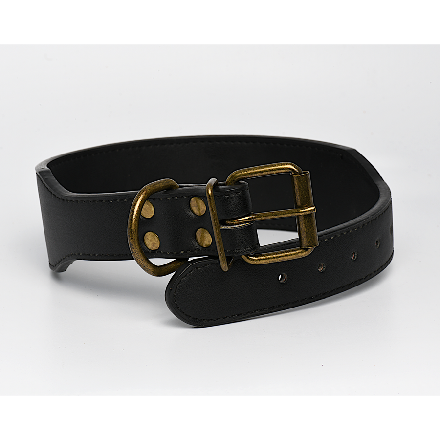 Black Leather Dog Collar in 2 Inch Wide