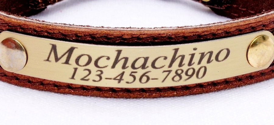 Leather Cat Collar Lined Suede Engraved Lightweight Plate Five Eights Width