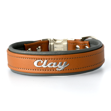 Padded Dog Collars Leather One and Half Inch (1.5 inch) Wide Tapered down to One Inch Buckle