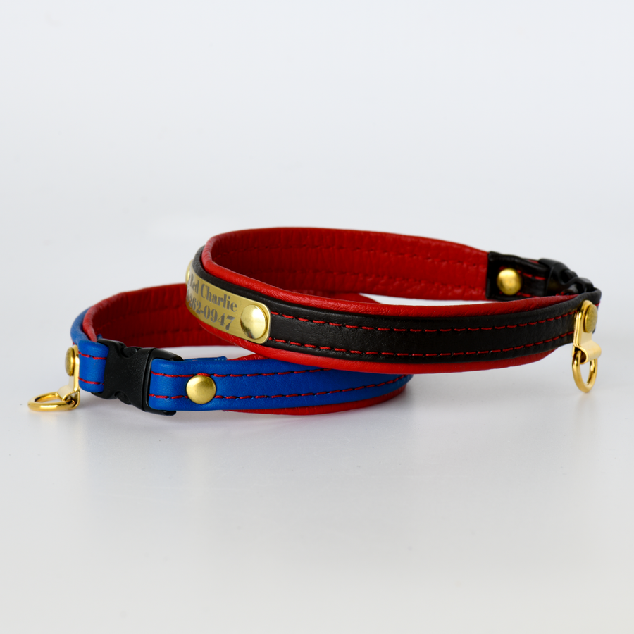 Peasonalzed Leather Cat and Kitten Collars with Saftey Breakaway buckle